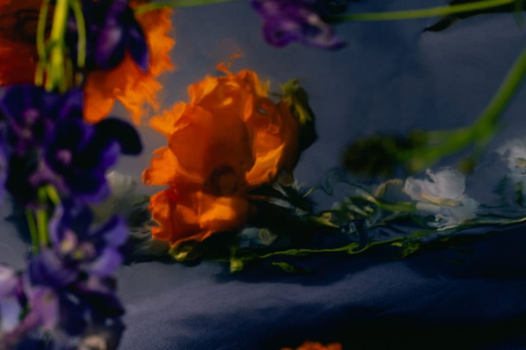 Flowers under water