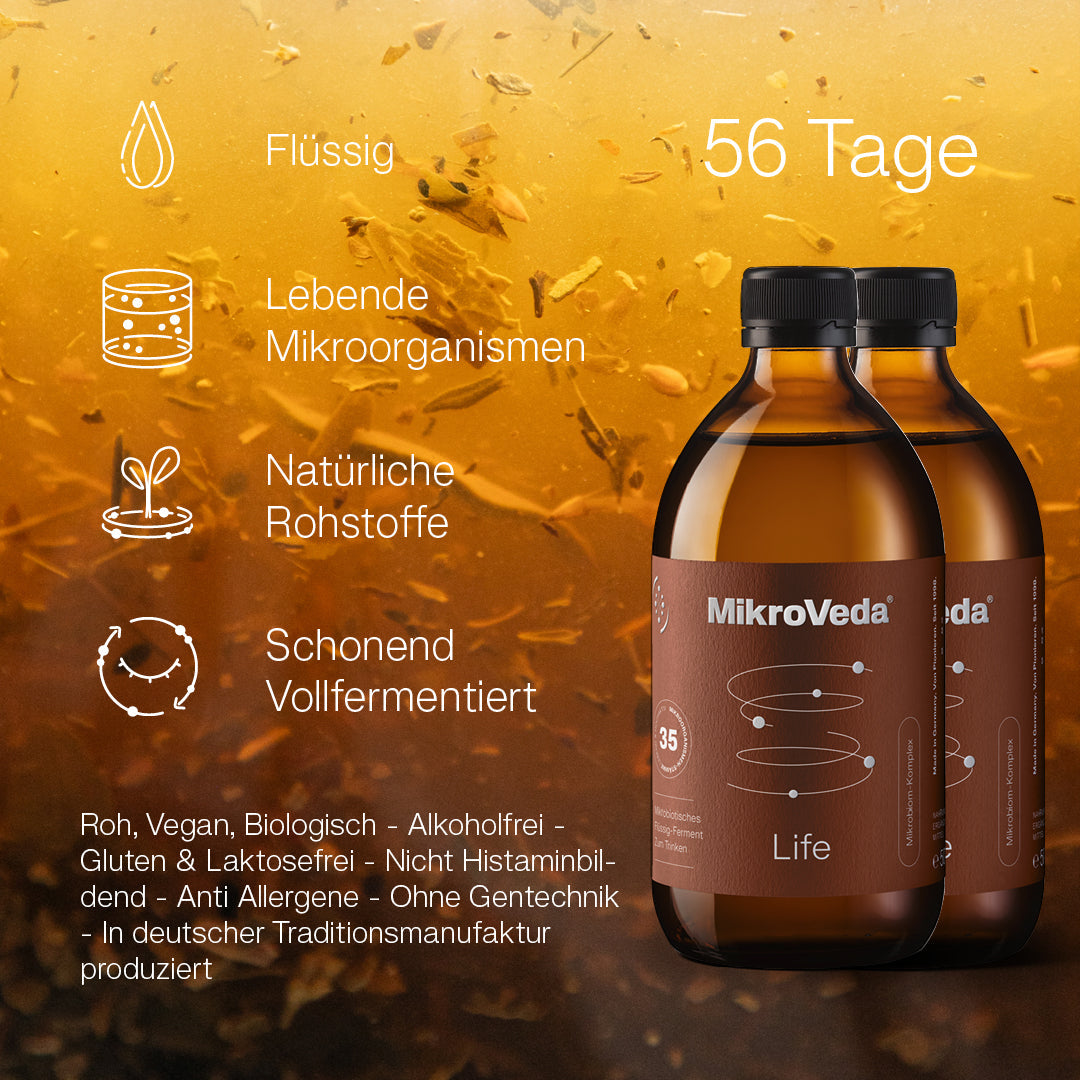 Kurpaket REGENERATION - Image 2