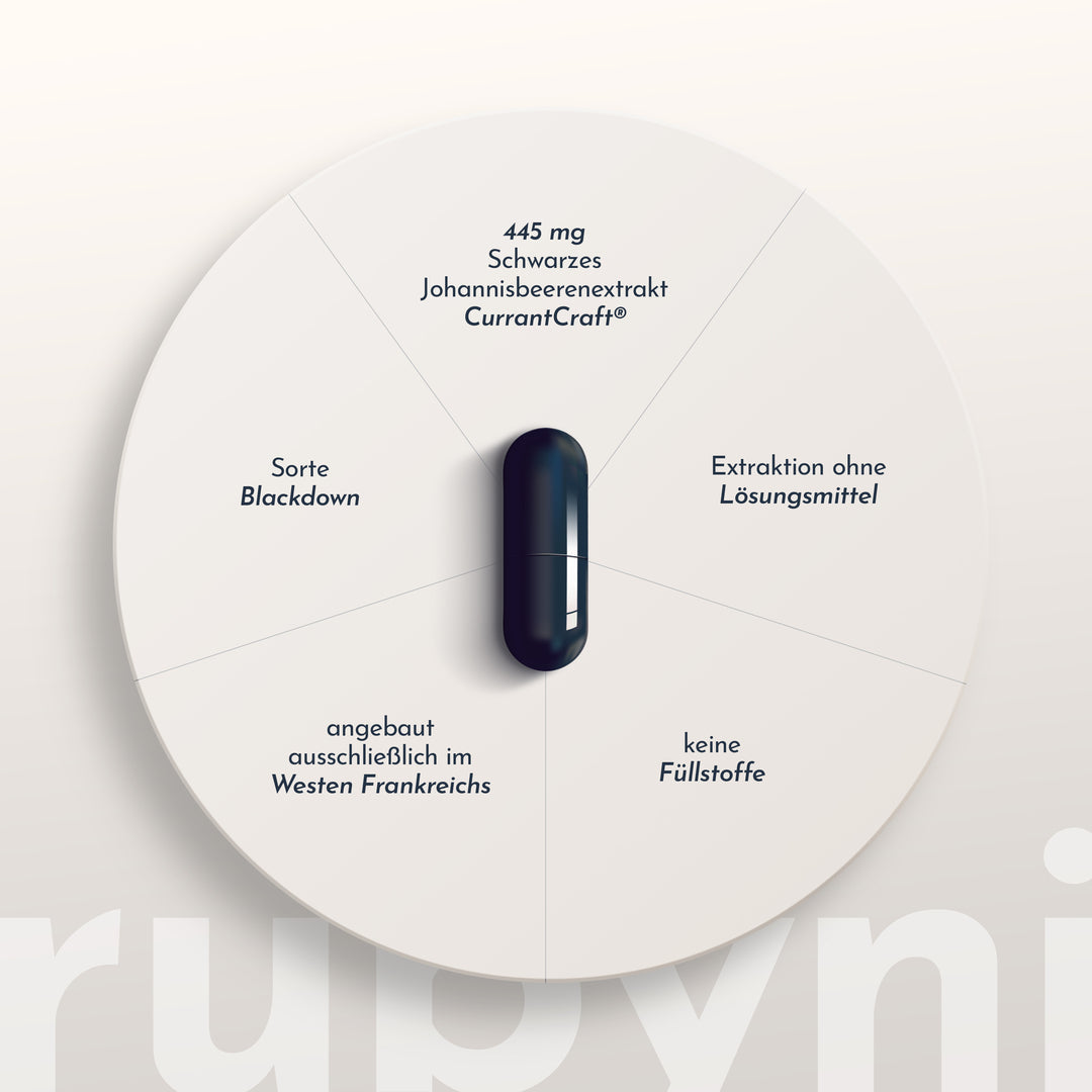 rubyni Schwarze Johannisbeere - Image 4
